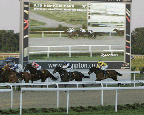Amigo Integration at Kempton Park racecourse