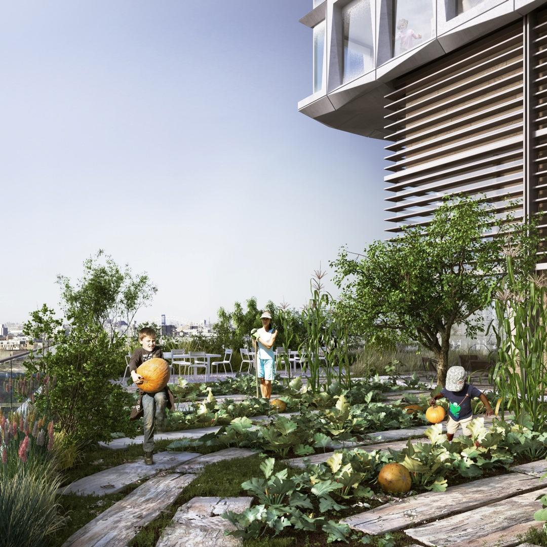 There is also a roof garden with greenery and outdoor recreation space / DBox