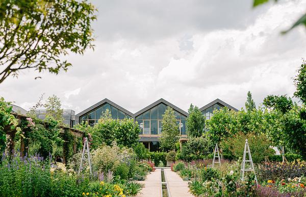 Over 6,000 plants are cultivated at The Davines Village, inspiring innovation and the development of new product lines