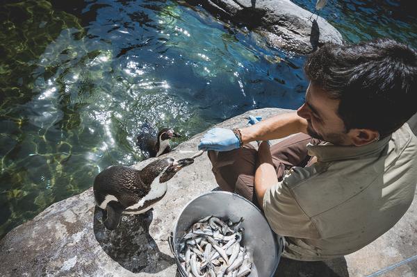 The plan puts animal welfare, conservation, research and education first
