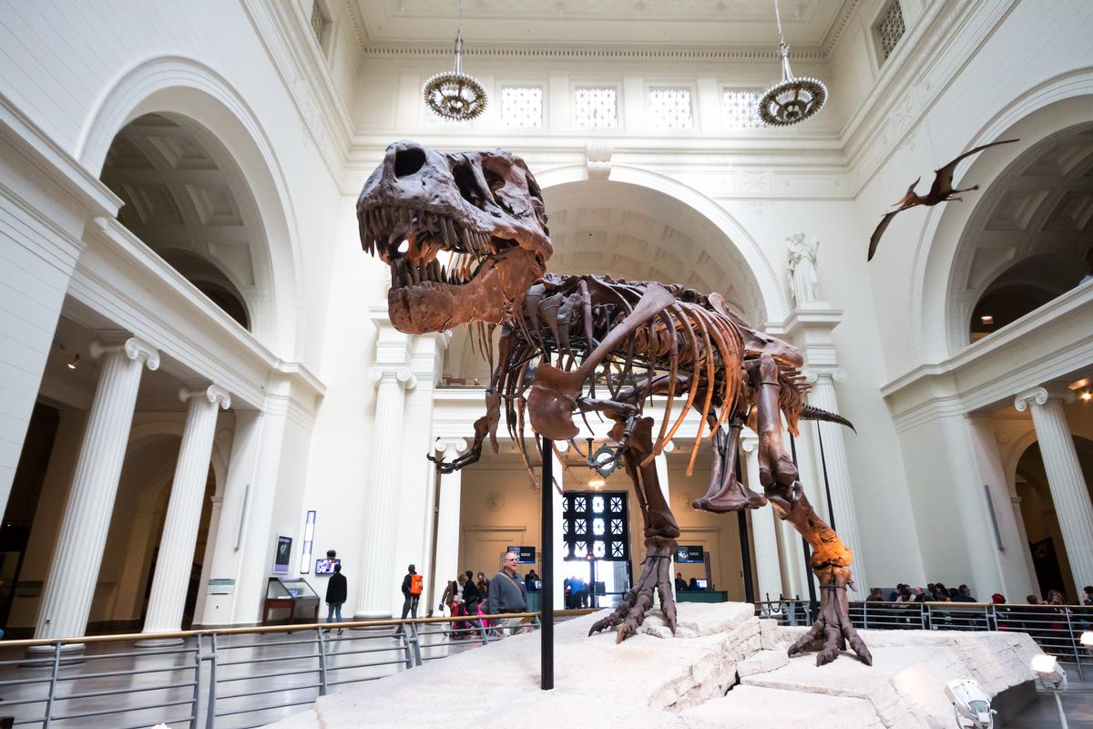 Museums across the US are feeling the crunch thanks to forced closures / Shutterstock.com