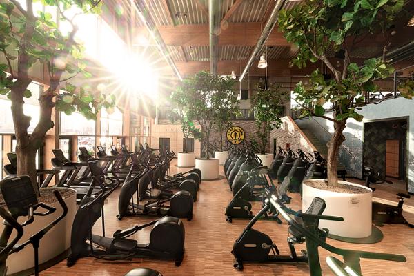 A sustainability standard is in the works, with companies such as Gold’s Gym already taking the initiative / photo: Gold’s Gym/RSG