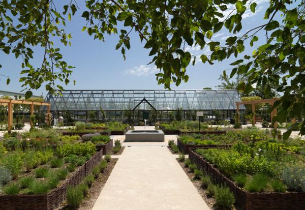 All botanicals are cultivated through regenerative agriculture / photo: Comfort Zone