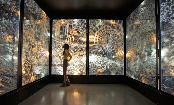 The Meow Wolf team aim to support systemic change in the arts