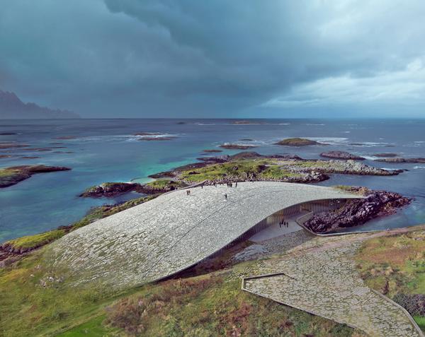 The roof of The Whale will provide views of migrating whales / Dorte Mandrup and Mir