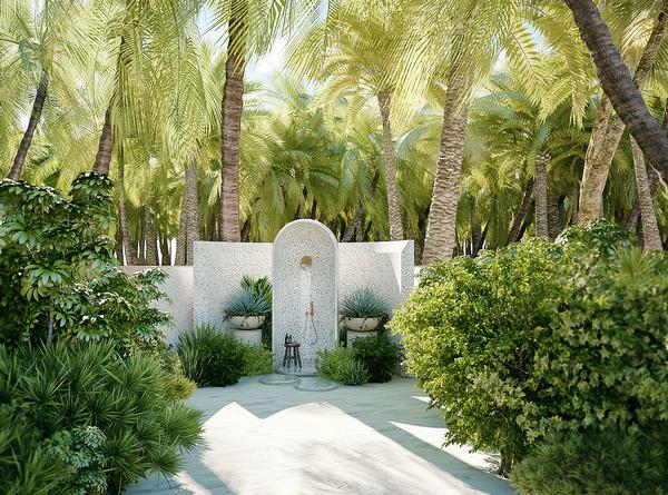 The island’s wild forest has been left untouched during construction / Photo: Joali Being