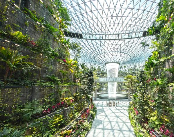 Jewel Changi Airport won a Thea Award for Outstanding Achievement / Photo: Jewel Changi Airport