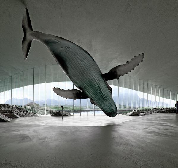 Light open spaces at The Whale will host exhibitions about the marine mammals / Dorte Mandrup and Mir