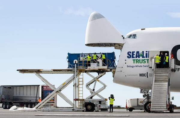 The journey to the whales’ new home in Iceland took almost 40 hours / Photo: Tesni Ward