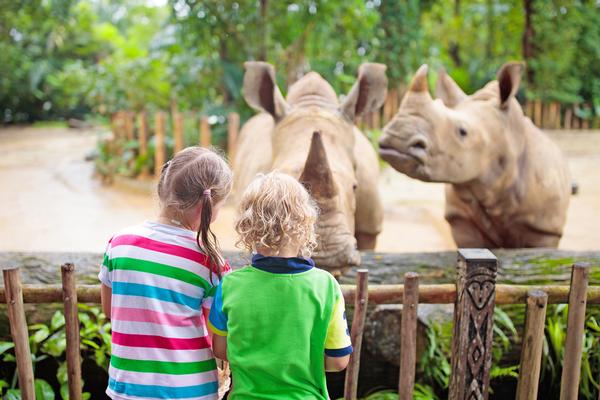 Buckley hopes the study will give zoo managers ”wiggle room” to think about how best to utilise the space at their zoo / Photo: Alex Kantorovish