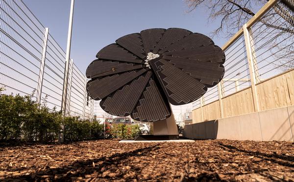 The solar ‘flower’ at Gold’s Gym Berlin has a solar array shaped like a flower / photo: RSG Group