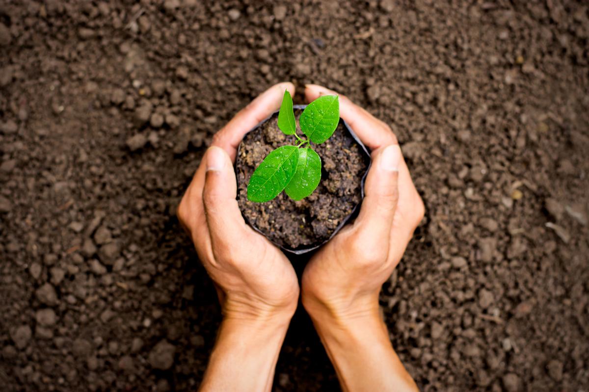 Comfort Zone contributes to biodiversity protection, environmental and social sustainability projects, by donating 1 per cent of its sales to the 1% for the Planet initiative. / Shutterstock/kram-9 Comfort Zone contributes to biodiversity protection, environmental and social sustainability projects, by donating 1 per cent of its sales to the 1% for the Planet initiative. / Shutterstock/kram-9
