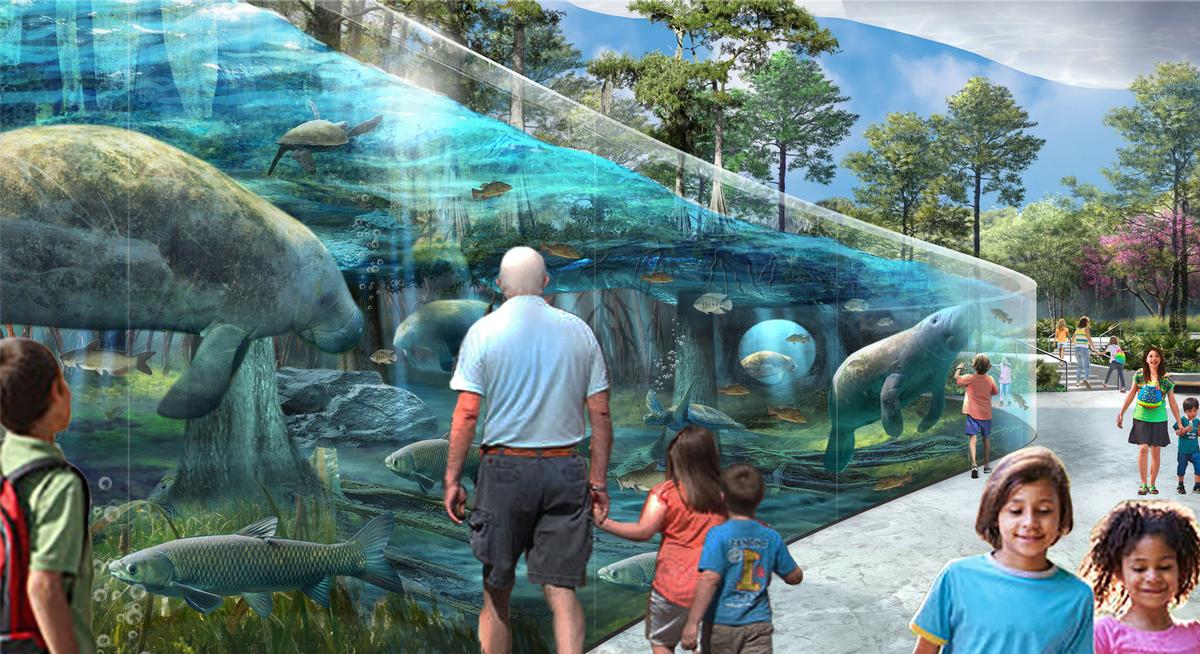 THe first phase includes a new manatee exhibit / Jacksonville Zoo and Gardens