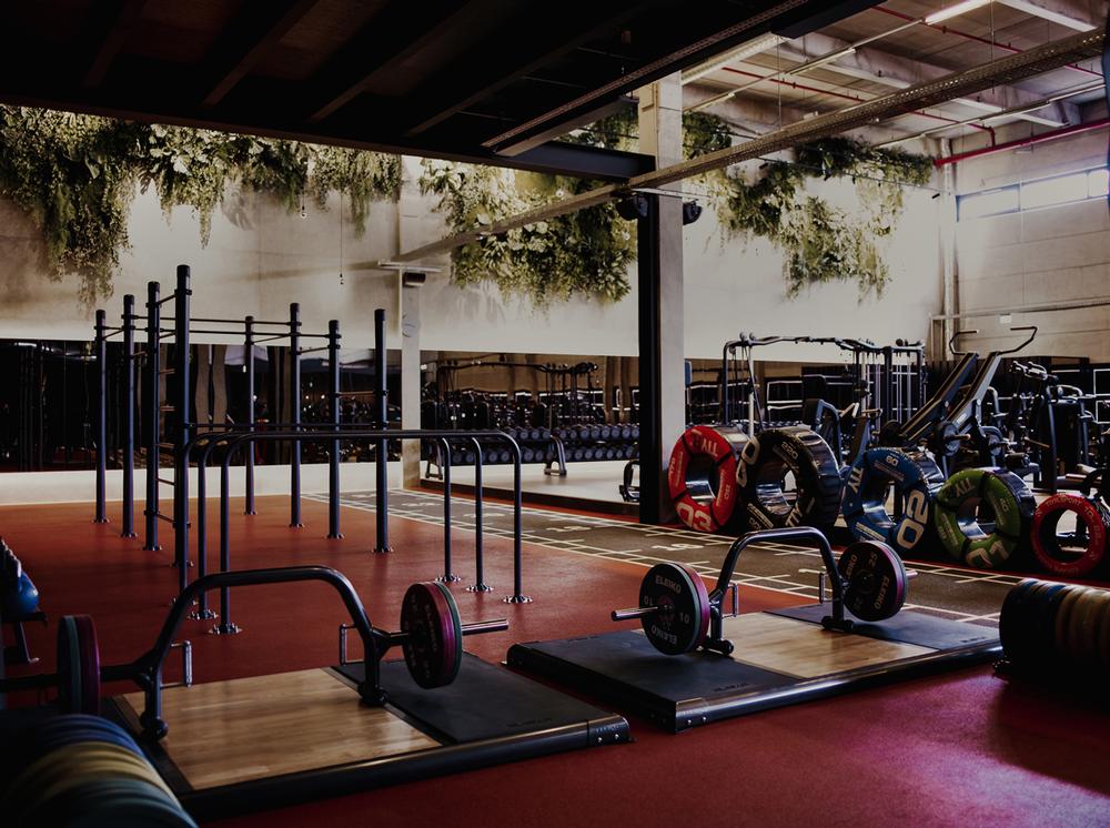 The space is set up to support a wide range of training types, from calisthenics to Pilates / photo: URBAN HEALTH CLUB