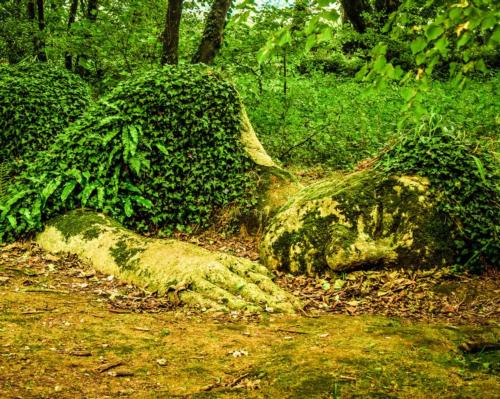The Lost Gardens have been nicknamed a sleeping beauty after they lay untouched for nearly 80 years / Shutterstock/4kclips