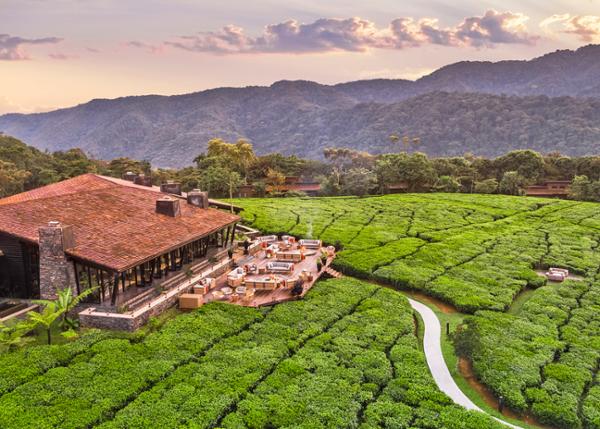One&Only at Kerzner’s Nyungwe House in Rwanda / Kerzner International