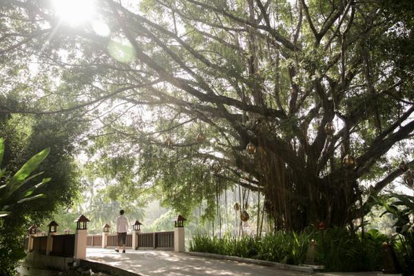 Banyan Tree Veya has opened in Phuket / Photo: Banyan Tree Veya Phuket