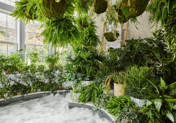 The Mayflower Inn and Spa is an Auberge Resort Collection property / photo: The Well
