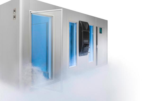 Art of Cryo specialises in the creation of cryotherapy experiences / Photo: art of cryo