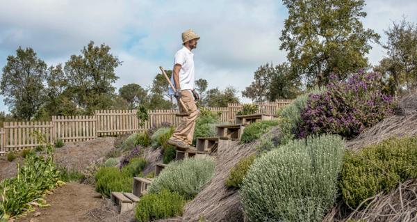 Botanical diversity is nurtured at the resort, and food is nutritious / Photo: PGA Catalunya 