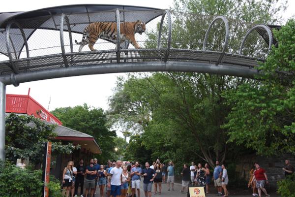 Seasonal programming can change visitation patterns / Photo: PHILADELPHIA ZOO