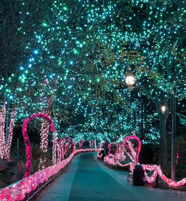 LumiNature at Philadelphia Zoo generates $2.5m in sales each year / Photo: PHILADELPHIA ZOO