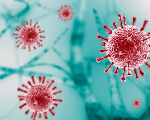 Research: COVID-19 attacks fat cells