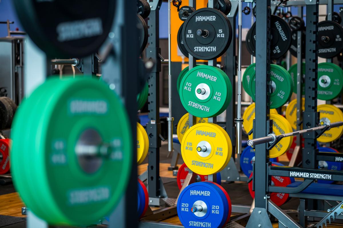 Hammer Strength weight plates / Chris Watt Photography