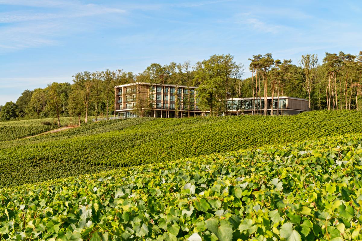 The spa hotel is inspired by the natural beauty of the Champagne region and overlooks vine-covered hills and forests / MUTIGNY RESORT HOTEL - Studio Jouin Manku © Nicolas Matheus The spa hotel is inspired by the natural beauty of the Champagne region and overlooks vine-covered hills and forests / MUTIGNY RESORT HOTEL - Studio Jouin Manku © Nicolas Matheus