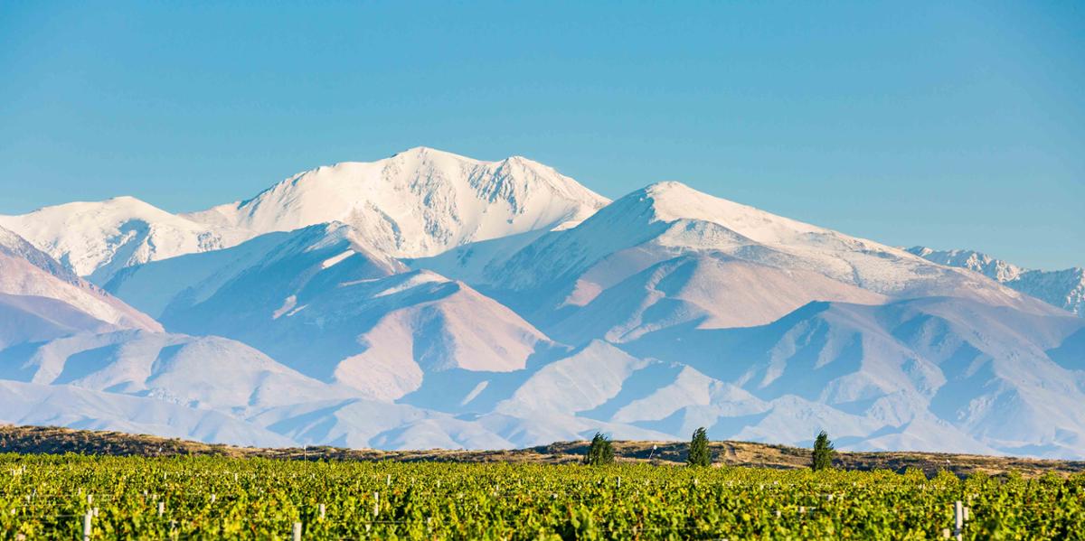 The resort is set in Argentina's region of Mendoza - an famous wine destination famed for its Malbec and flanked by the dramatic Andes Mountains / SB Winemaker’s House & Spa Suites