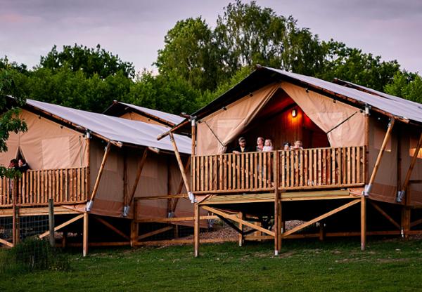 Lund Gruppen’s Skånes Djurpark Resort in Sweden / Photo: Lund Gruppen