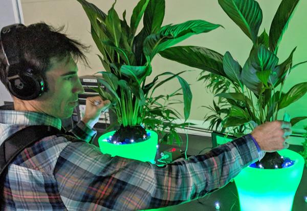 The sounds are based on plant energy / photo: Glass Twin