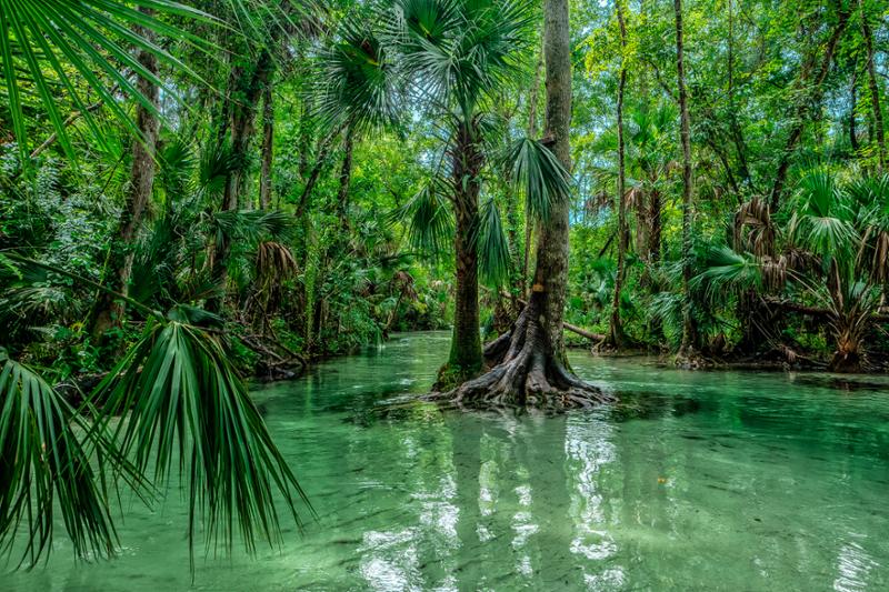 The Florida Aquifer is responsible for more than 1,000 natural springs in Florida / Shutterstock/Exploring and Living
