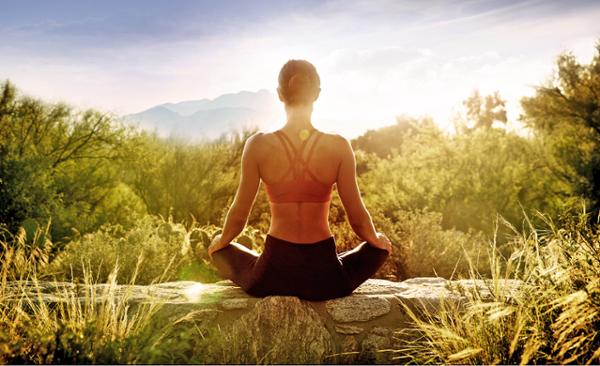 Consumers want self-guided programmes / canyon ranch