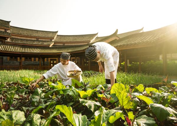 Produce used in Six Senses’ restaurants is grown in organic gardens on-site / photo: seth powers
