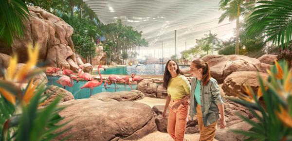 The Tropical Ocean area is one of eight ocean ‘realms’ / Photo: SeaWorld Abu Dhabi