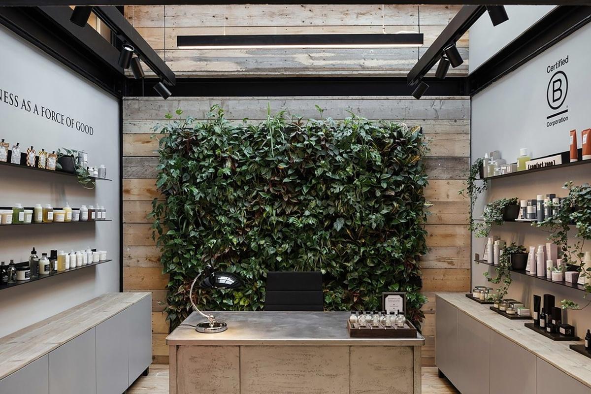 Over 30,000 plants have been integrated throughout the new HQ to give the space a natural feel and mirror the brand's commitment to nature / Comfort Zone