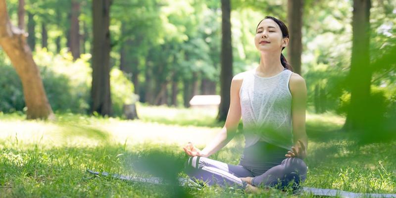 Harvard unveils $25m centre dedicated to advancing science of mindfulness