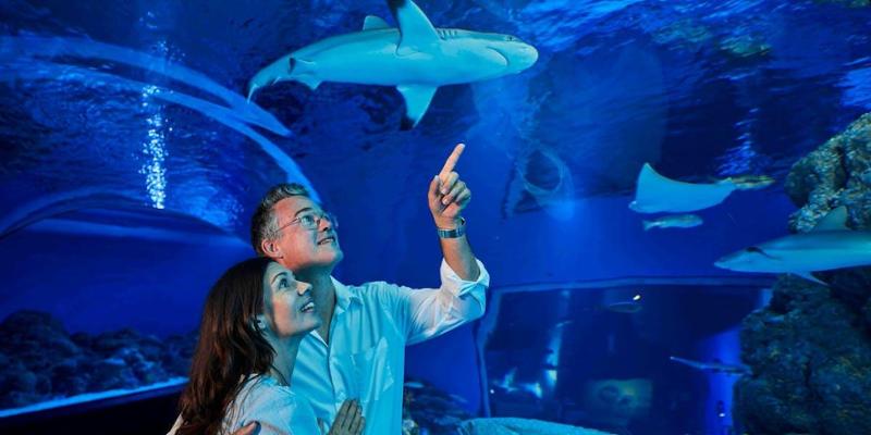 Cairns Aquarium in Australia put up for sale