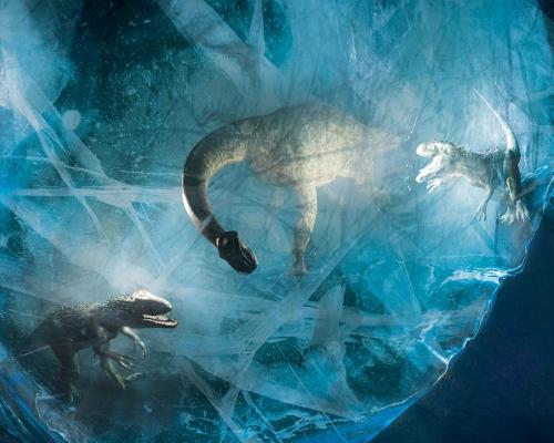 The fly film brings guests face-to-face with dinosaurs