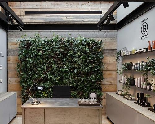 Over 30,000 plants have been integrated throughout the new HQ to give the space a natural feel and mirror the brand's commitment to nature / Comfort Zone