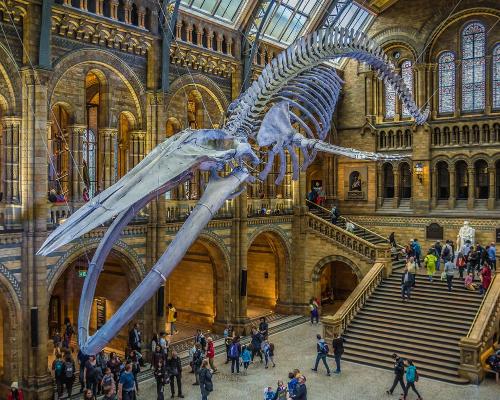 London's Natural History Museum saw a 196 per cent increase in visitors during 2022
/ Shutterstock/elRoce