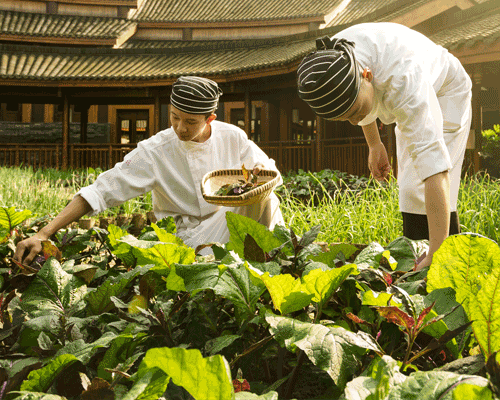 Environmental, social and governance