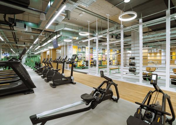 Cardio areas have ascent trainers, climb mills, cross trainers, rowers, recumbent and seated bikes and treadmills / photo: RSG GROUP