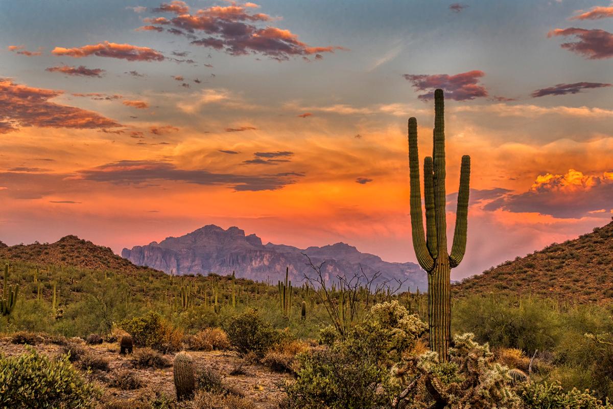 Inspired by the Sonoran Desert, the project is a public-private partnership between Pima County and the Erman brothers’ hospitality development company, Infinite Concepts / Shutterstock/Brent Coulter