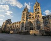 The Natural History Museum in London had its best year ever for visitor numbers in 2023 / Pajor Pawel/shutterstock
