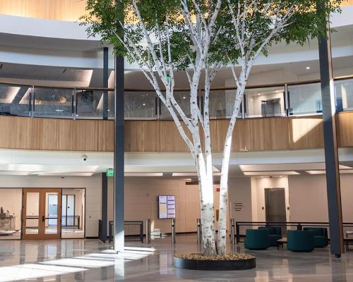 The Walton Family Whole Health and Fitness Centre has been designed using natural materials / Walmart