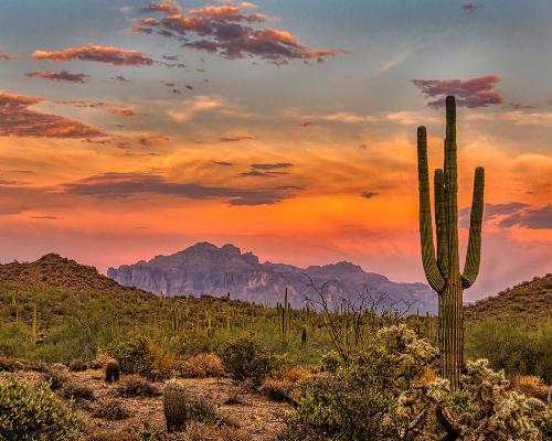Connection, creativity and nature inspire Arizona’s upcoming desert wellness sanctuary Align 