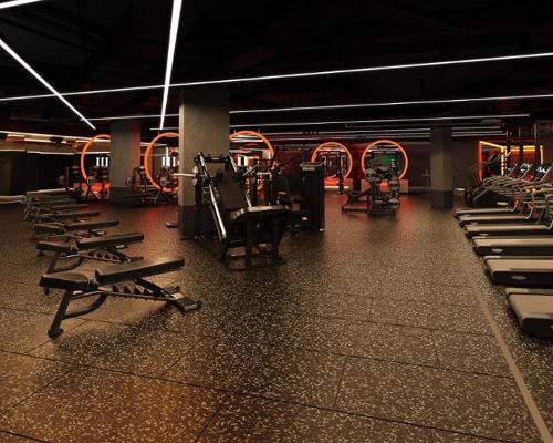 The gym has a custom-designed rig / Third Space