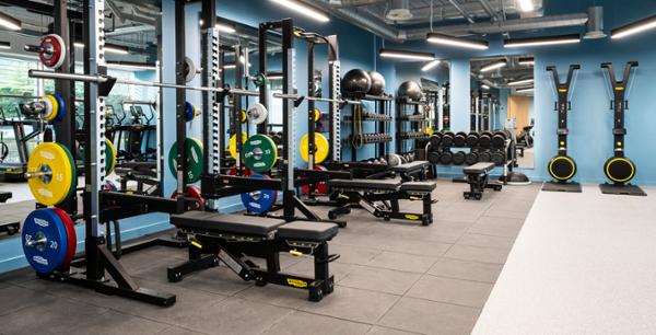 Samsung UK is investing in employee wellbeing with a new health suite / Photo: TECHNOGYM
